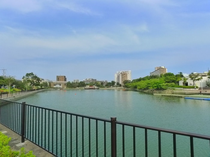 新左近川親水公園(公園)まで339m エクシードヒルズ