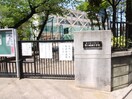 物件(小学校)まで203m 小泉ビル