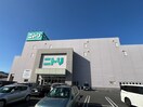 ニトリ横須賀店(電気量販店/ホームセンター)まで522m ベルモント池田町