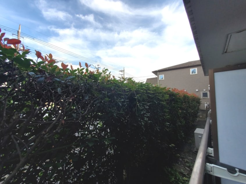 室内からの展望 成城３番館