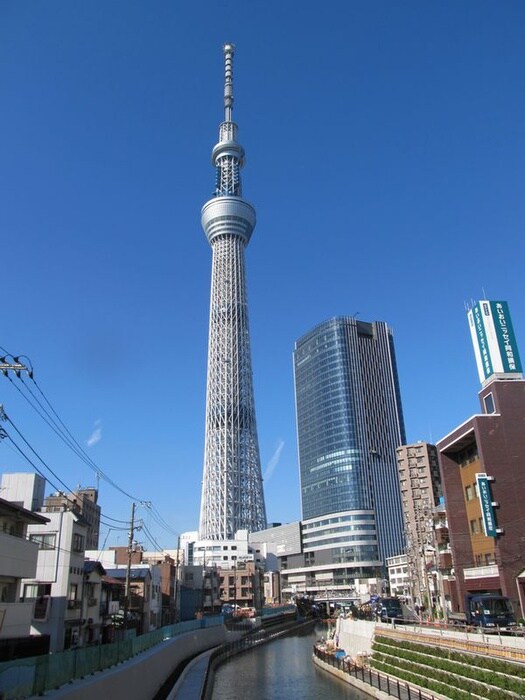 スカイツリー(美術館/博物館)まで842m セレッソ本所