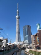 スカイツリー(美術館/博物館)まで842m セレッソ本所