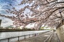 隅田川(公園)まで1300m セレッソ本所