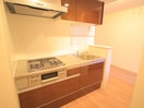 キッチン エクセリア徳丸Ⅰ