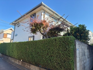 メープルハイツ