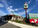ラ・オハナ サザンビーチちがさき店(その他飲食（ファミレスなど）)まで458m マリンハイツ