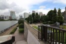 永代公園(公園)まで270m リバ－サイド永代