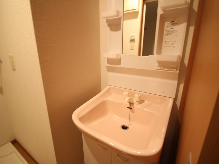 洗面 グレイス多摩川壱番館