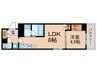 パークアクシス新宿西落合 1LDKの間取り