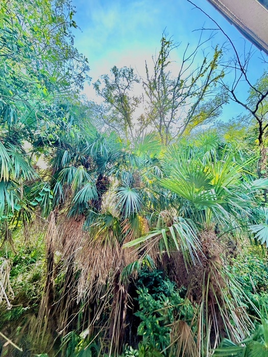 室内からの展望 サンロイヤル市ヶ尾