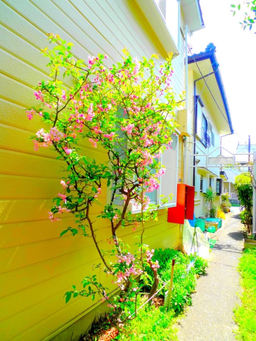 周辺環境 さくらハイム