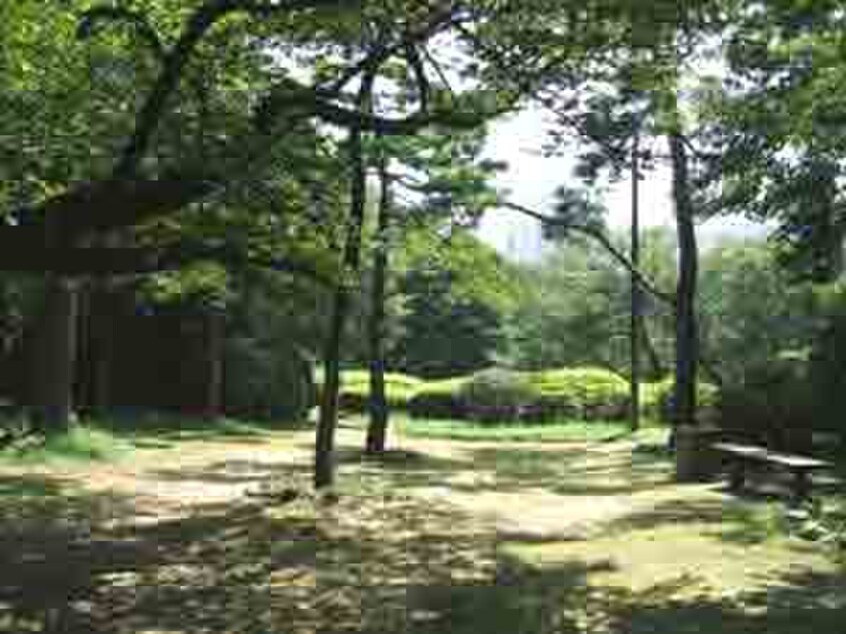 哲学堂公園(公園)まで333m ルーブル新宿西落合七番館