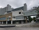 東京工業大学 すずかけ台キャンパス(大学/短大/専門学校)まで957m ｾﾝﾁｭﾘｰﾊｲﾂつくし野13号棟