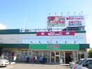 タイガ藤沢石川店(スーパー)まで402m ポルシェ藤沢