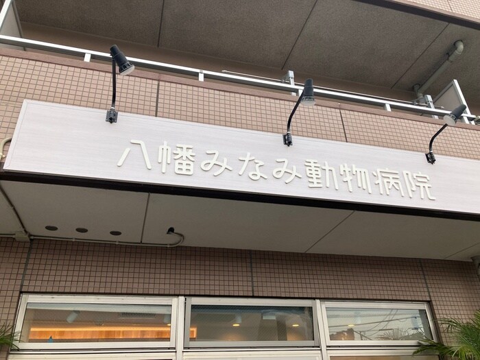 動物病院(病院)まで600m 大和田３丁目貸家