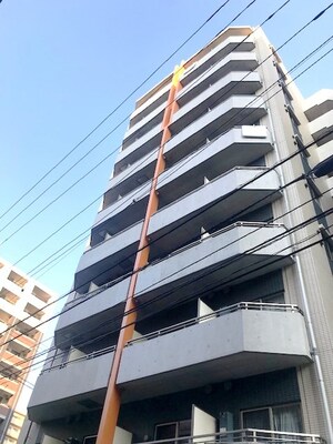 HAYMAN YOKOHAMA(603)