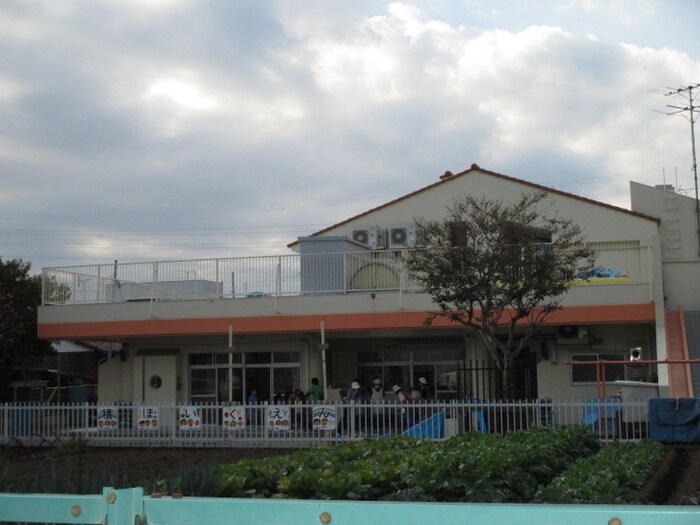 橘保育園(幼稚園/保育園)まで70m サンドエル吉田