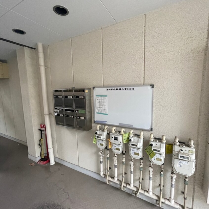 その他 クイーンシップ・レジーナ