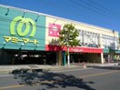 マミーマート(スーパー)まで392m Ｔｓ　ｇａｒｄｅｎ蕨Ⅲ