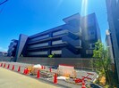 アグロラトス　ヒサリコの外観