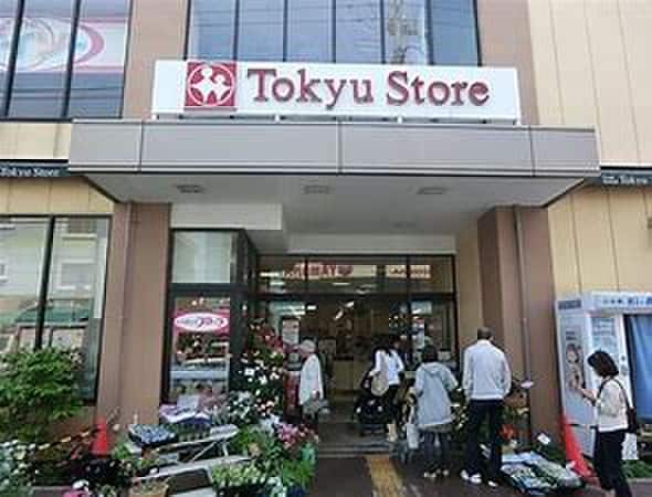 東急ストア(スーパー)まで553m ヴィレ東雪谷