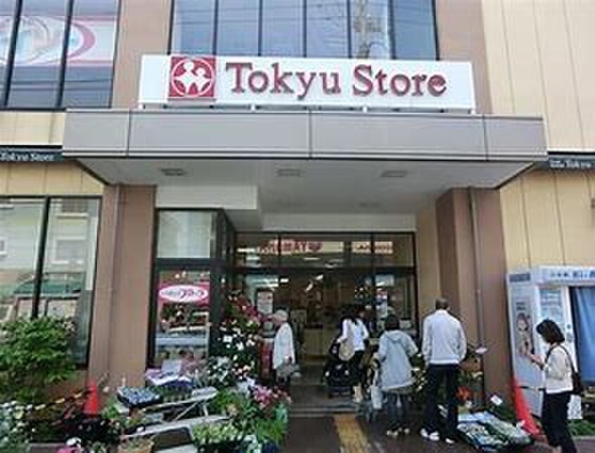 東急ストア(スーパー)まで553m ヴィレ東雪谷