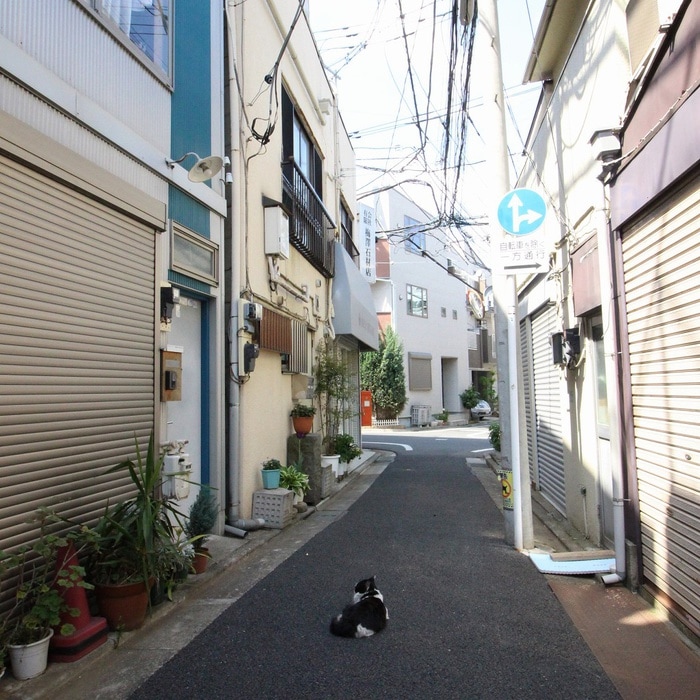 周辺環境 Ａｐａｒｔｍｅｎｔ欅