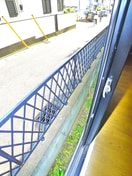 ベランダ・バルコニー コスモアイリス