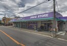 ウェルパークあきる野伊奈店(ドラッグストア)まで750m アスティー前原