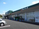 ジョイフーズ(スーパー)まで918m リブリ・Ｈａｓｕｄａ