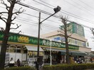 食品館あおば初山店(スーパー)まで444m 渡辺荘