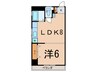 コ－ポ安藤 1LDKの間取り