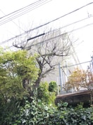 外観写真 コ－ポ安藤