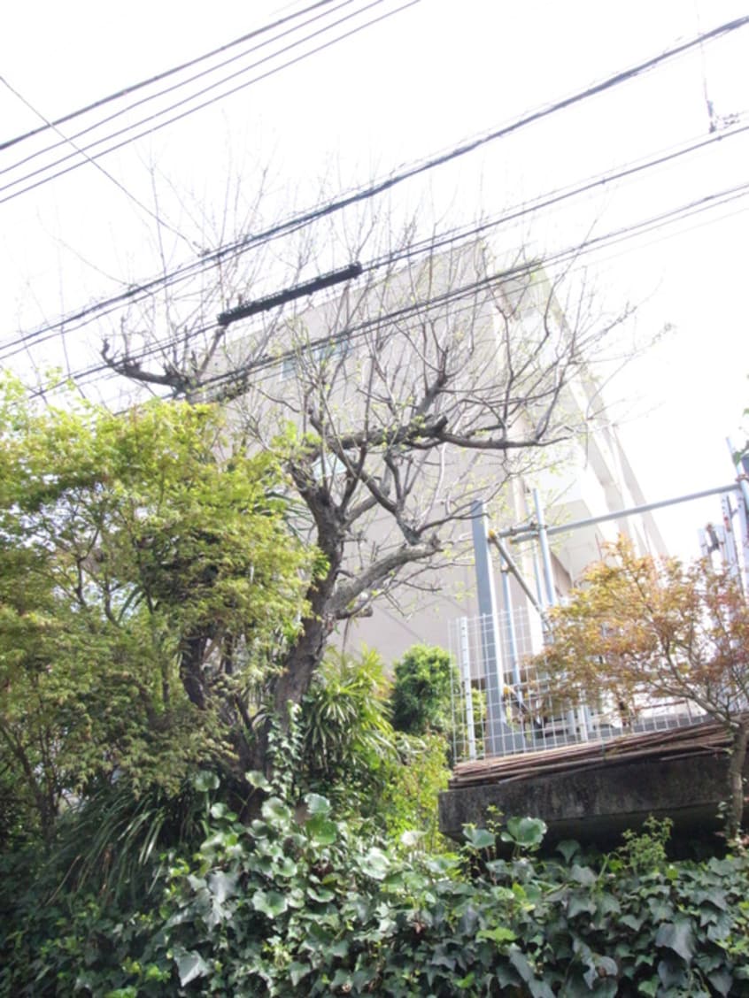 外観写真 コ－ポ安藤