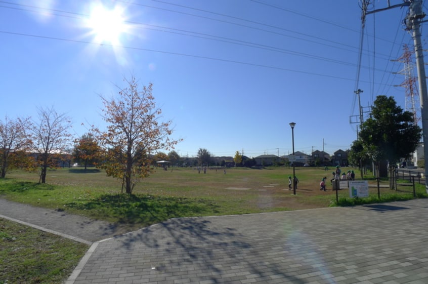 藤沢中央公園(公園)まで1050m ビラデラステーラ２