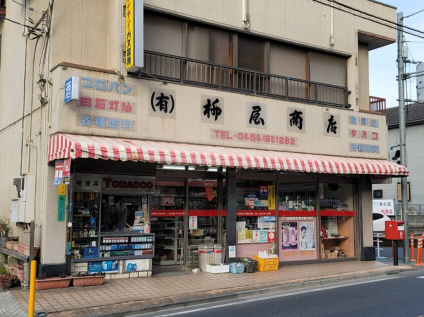 柳屋商店(コンビニ)まで250m ディモア