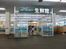 ジャパンミ－ト瑞穂店(スーパー)まで1056m ステラ小峰Ａ