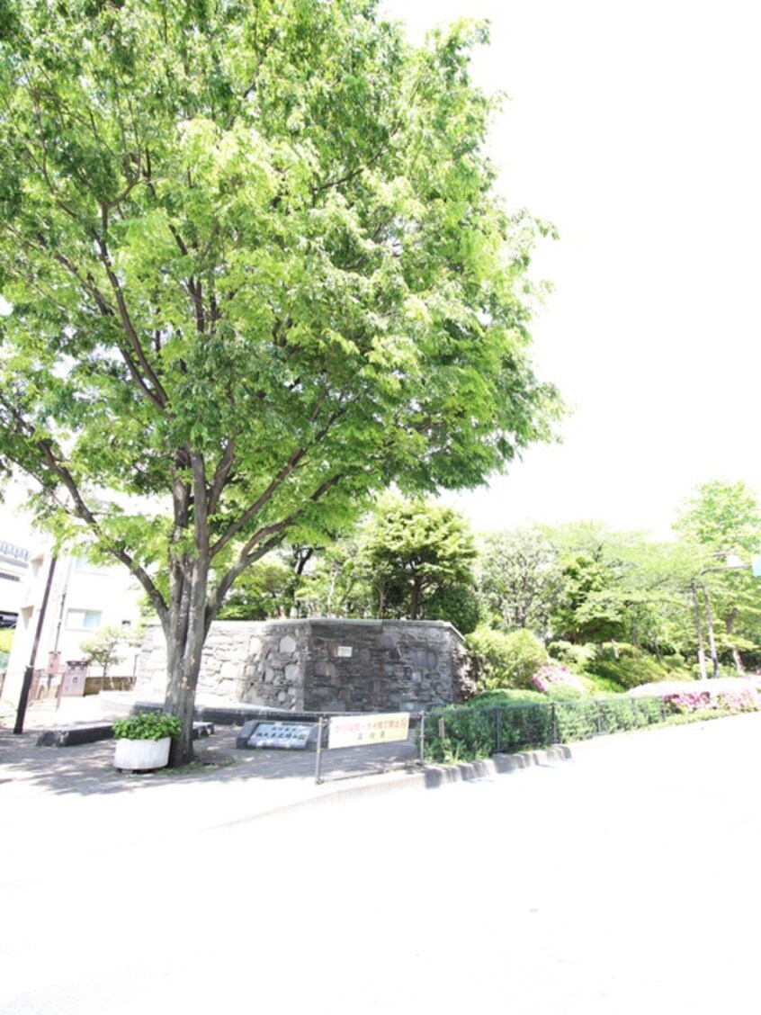 西大井広場公園(公園)まで387m カ－ザ若松