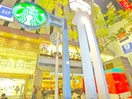 スターバックス(カフェ)まで181m ドルミ錦糸町・大興ビル(1001)