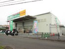 業務スーパー 秦野店(スーパー)まで48m グランパルク