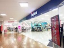 ノジマ府中四谷店(電気量販店/ホームセンター)まで600m シティ－リバ－