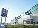 ホームセンターコーナン府中四谷店(電気量販店/ホームセンター)まで700m シティ－リバ－