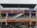 ヤオコー八王子並木町店(スーパー)まで550m コ－ポ銀杏