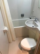 バス／シャワールーム等 ハ－スグラ－フ