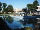 青木町公園(公園)まで850m シャトル中央