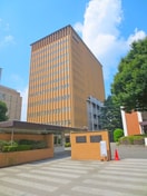 東京家政大学板橋キャンパス(大学/短大/専門学校)まで716m ヒルサイド山上