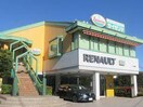 サイゼリヤ芦花公園店(その他飲食（ファミレスなど）)まで663m 第一チトセハイツ