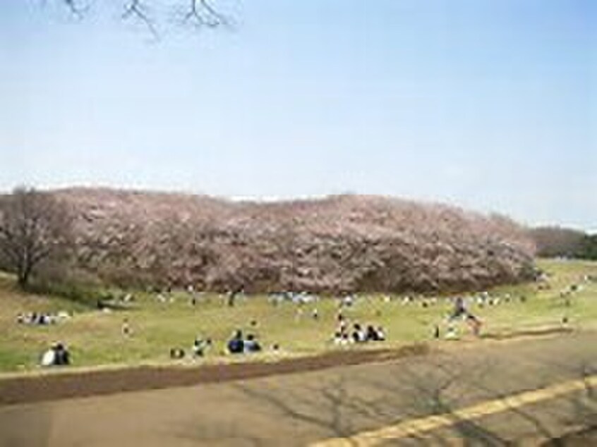 根岸森林公園(公園)まで600m 竹之丸ハイツ