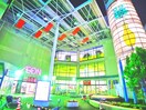 イオン　ノア店(デパート)まで1500m ＭＥＬＤＩＡ野田Ｂ