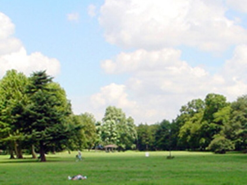 野川公園(公園)まで800m メイプルタウン吉野Ｂ棟